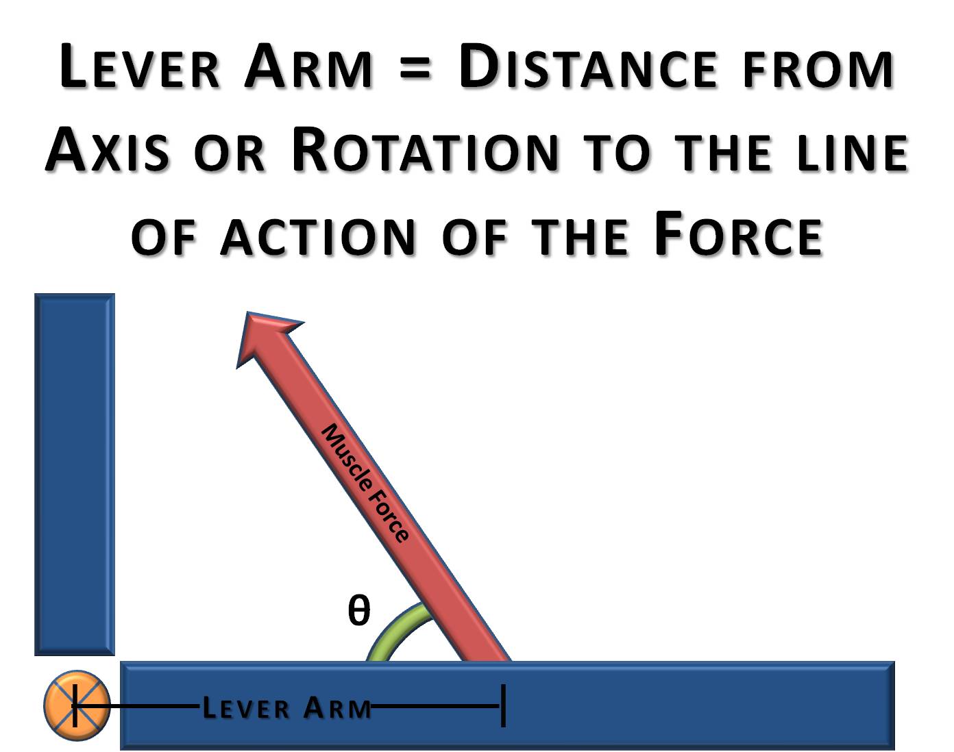 force line of actio