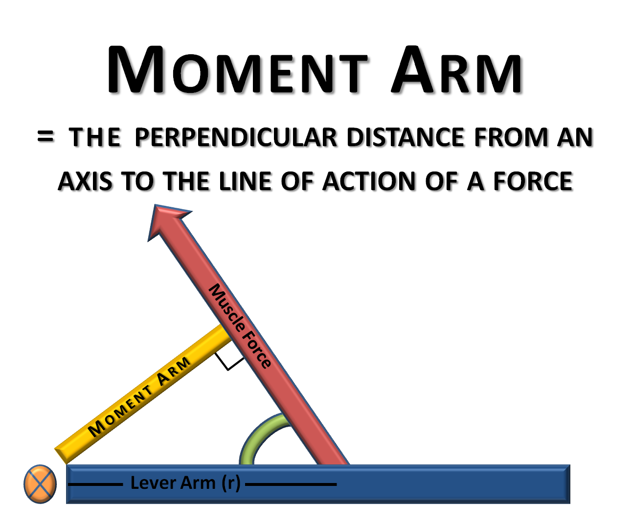 Basic Biomechanics Moment Arm Torque